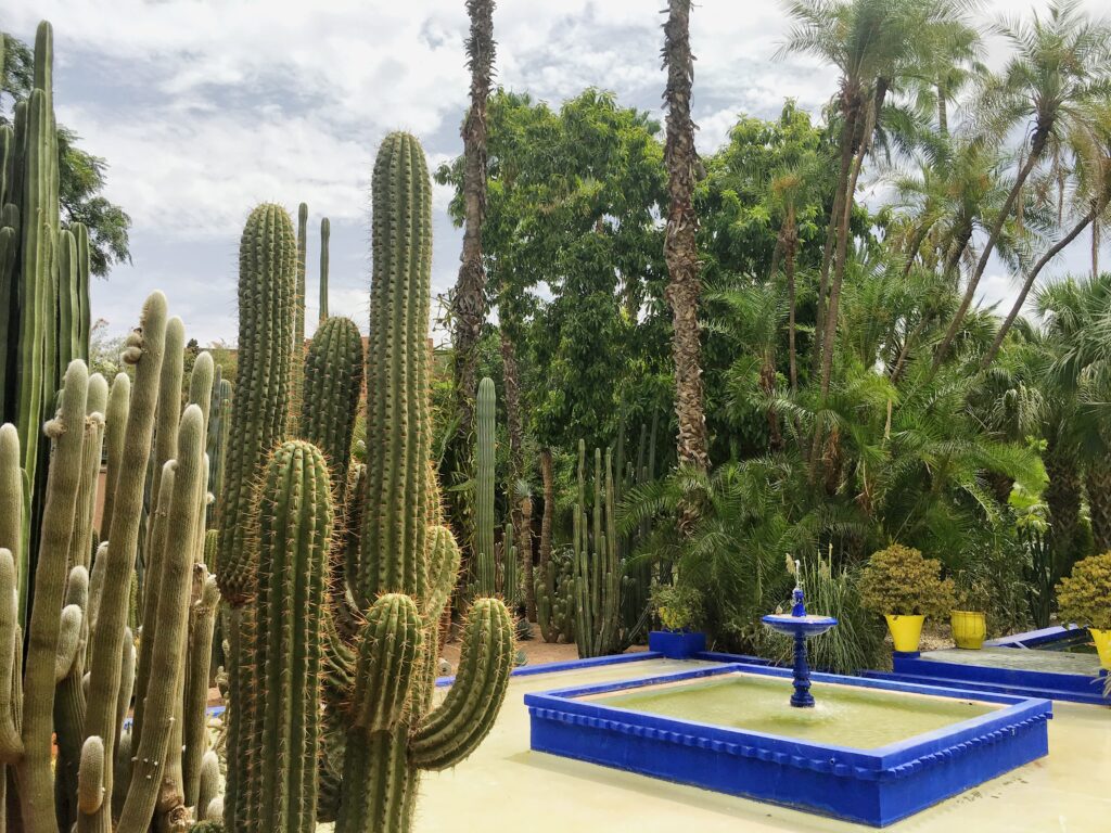 Jardin Majorelle is a beautiful garden to explore while visiting Marrakech.