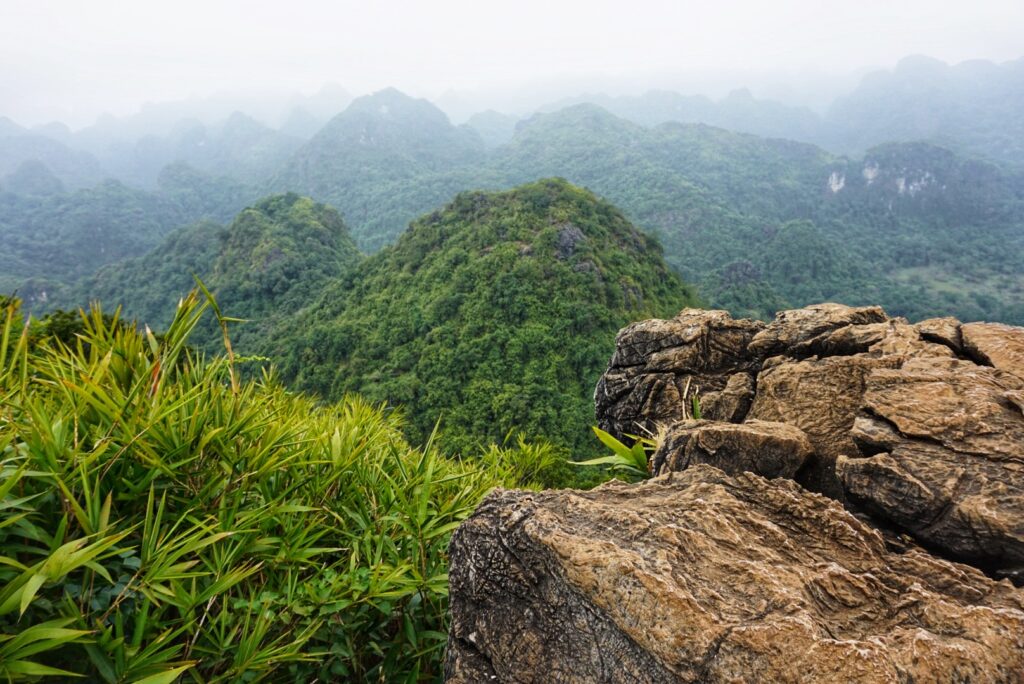You can hike to the top of Ngu Lam Peak on Cat Ba Island