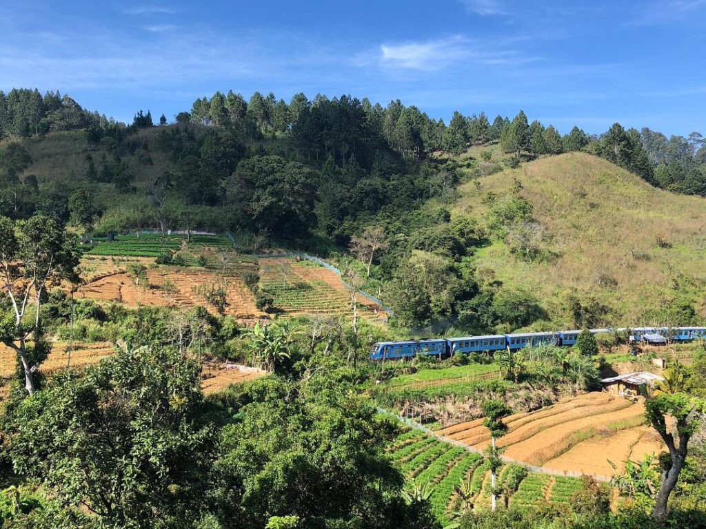 The iconic blue train going through the countryside of Ella