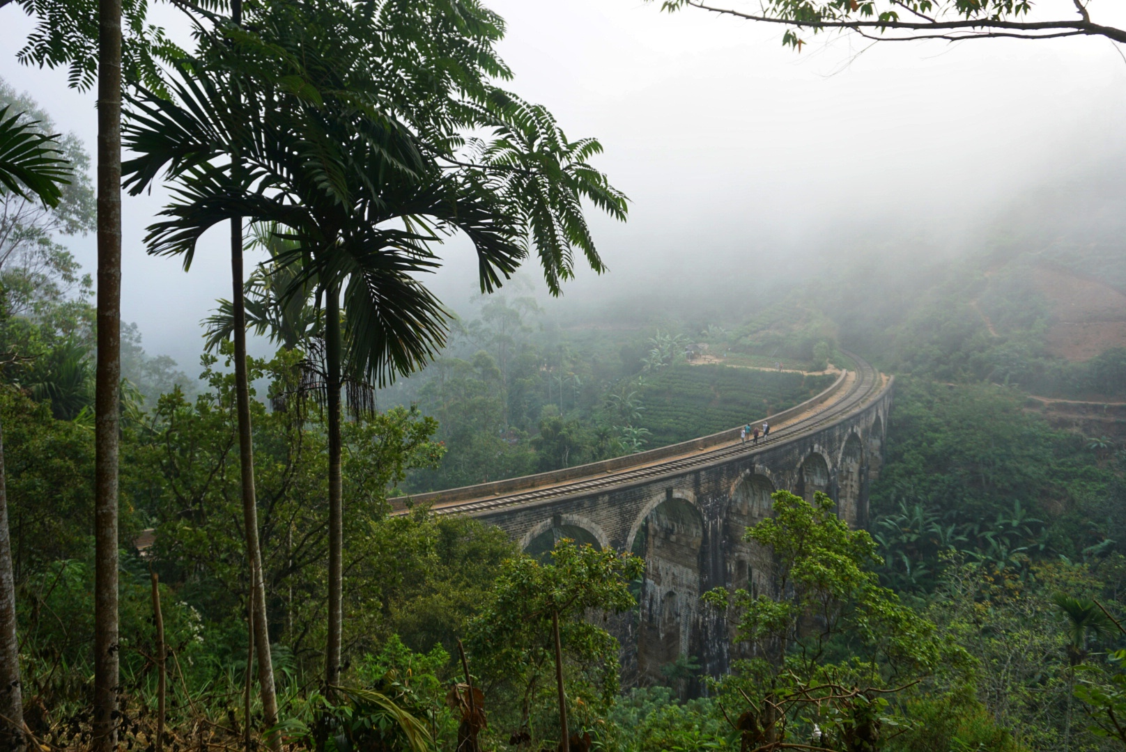 A foggy morning at Nine Arch Bridge