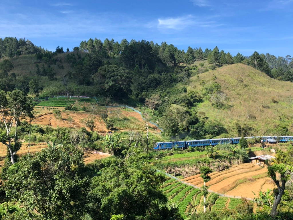 The iconic blue train going through the Sri Lanka highlands