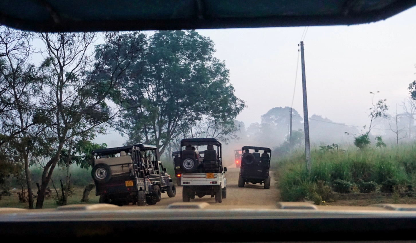 Safari jeeps entering the park at sunrise