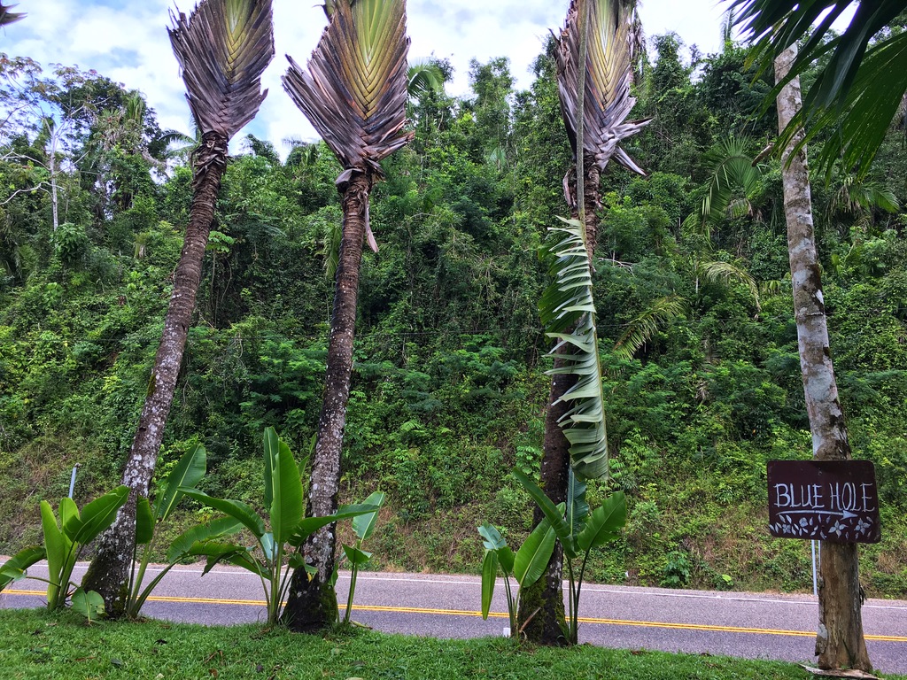 St. Herman's Blue Hole National Park