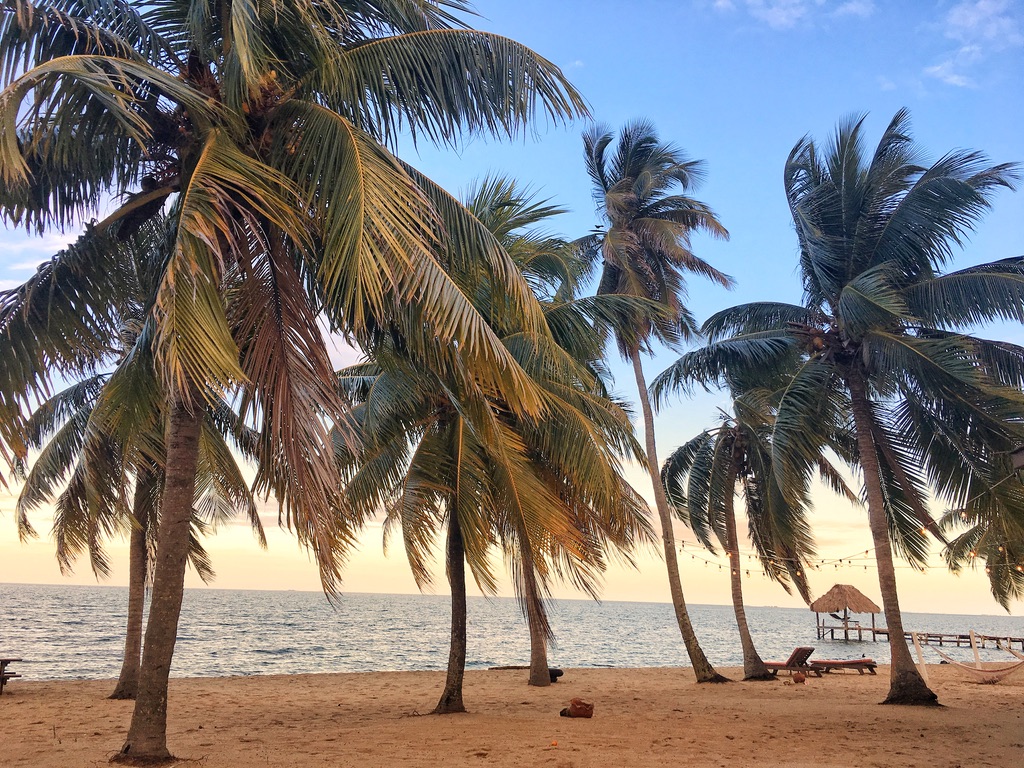 I loved the laid back vibe of Hopkins village