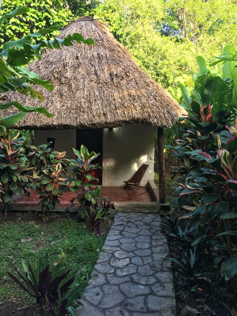 This image has an empty alt attribute; its file name is IMG_6388-1-768x1024.jpg