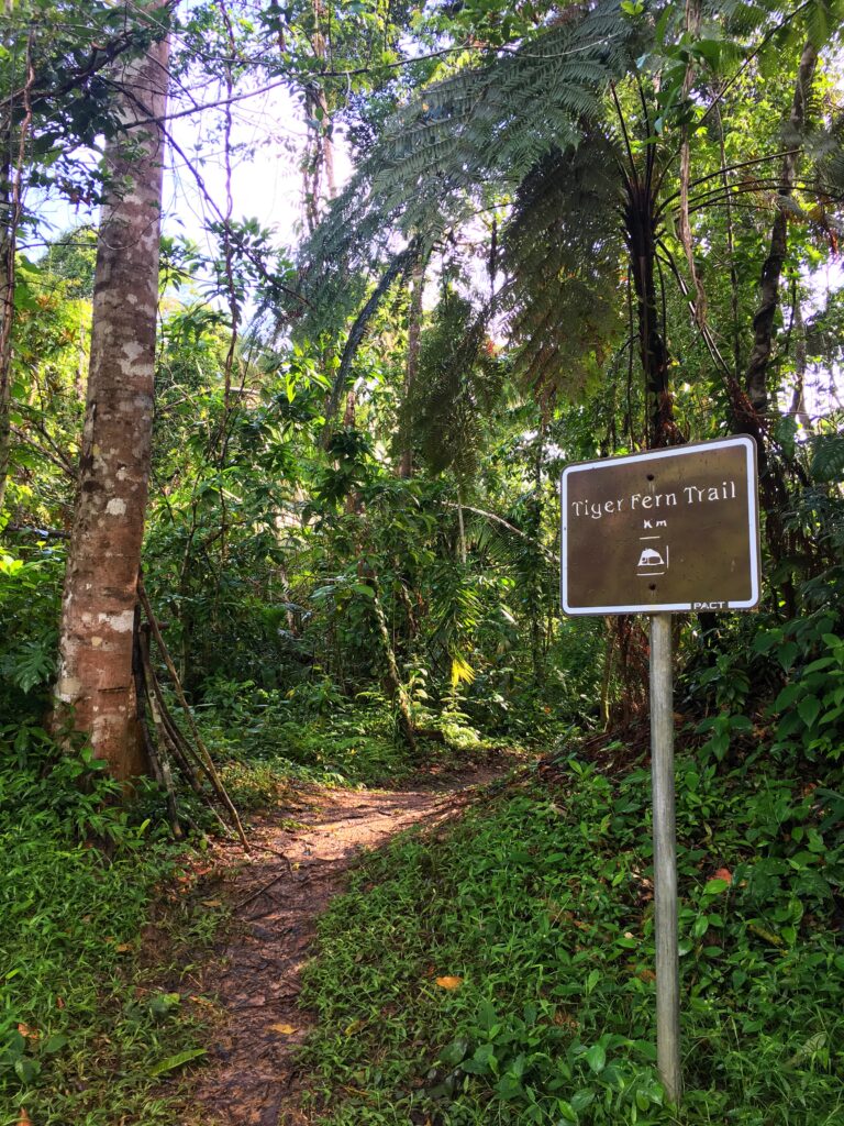 Views from the Tiger Fern Trail