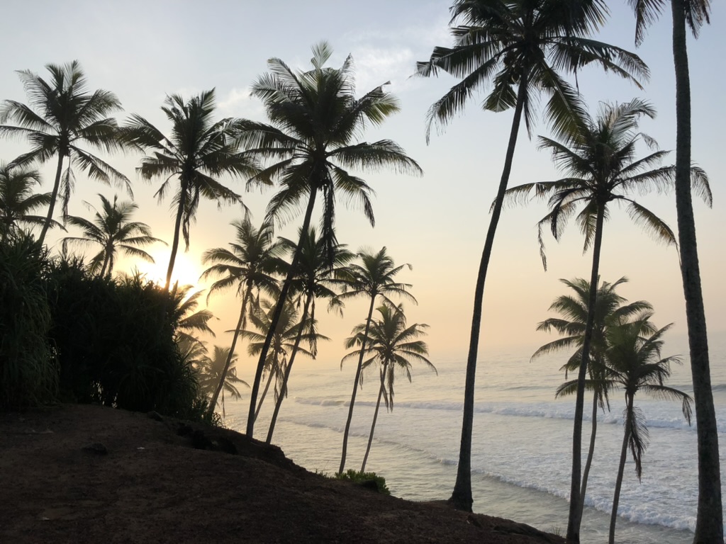 Sunrise at Coconut Hill