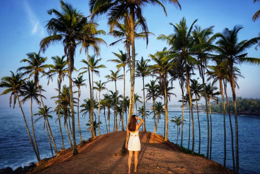 Visiting Coconut Hill in Mirissa is a must do! It has the best views of palm trees and ocean. 