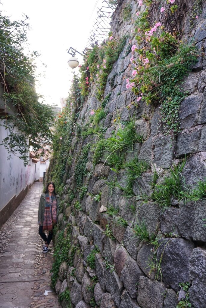 Wandering down Calle Siete Diablitos