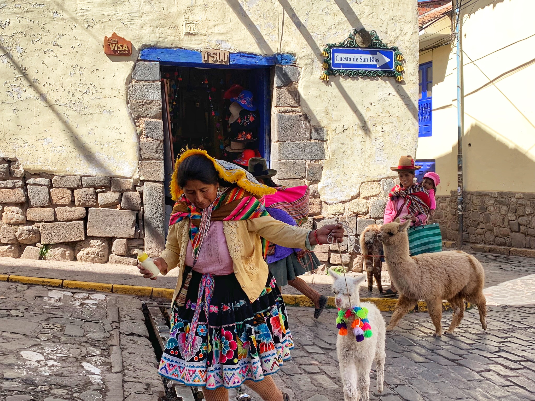 A local Peruvian woman and her alpaca walking down the street. 