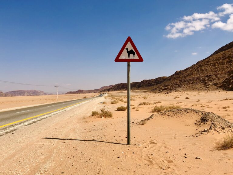 Driving in Jordan: How to Plan a Road Trip
