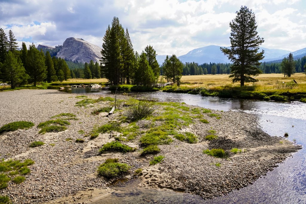 Beautiful meadow scenery in Yosemite