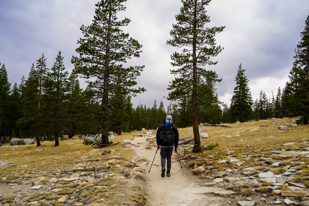 Hiking in the meadow into the forest along the Glen Aulin trail in Yosemite