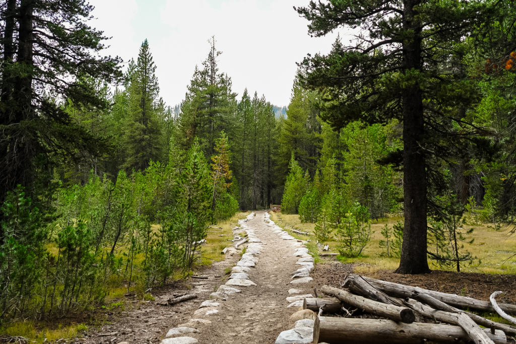 A view of the forested trail heading into Glen Aulin, Yosemite