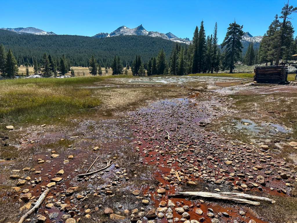 View of Soda Springs, Yosemite